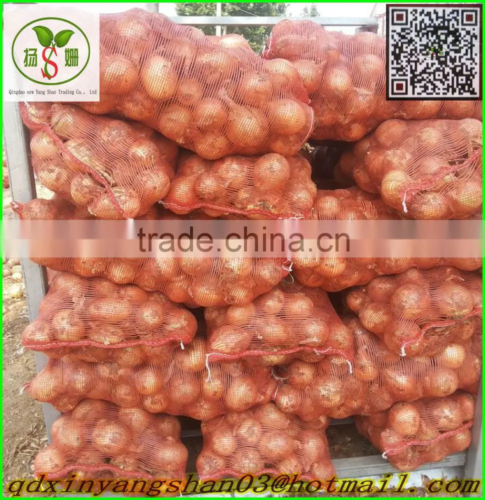 Red onion /yellow onion/purple onion exports are of good quality