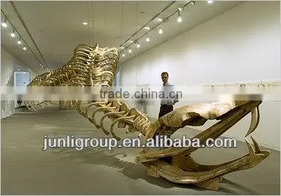 JLDF-G-0023 Huge Life Size Snake Skeleton