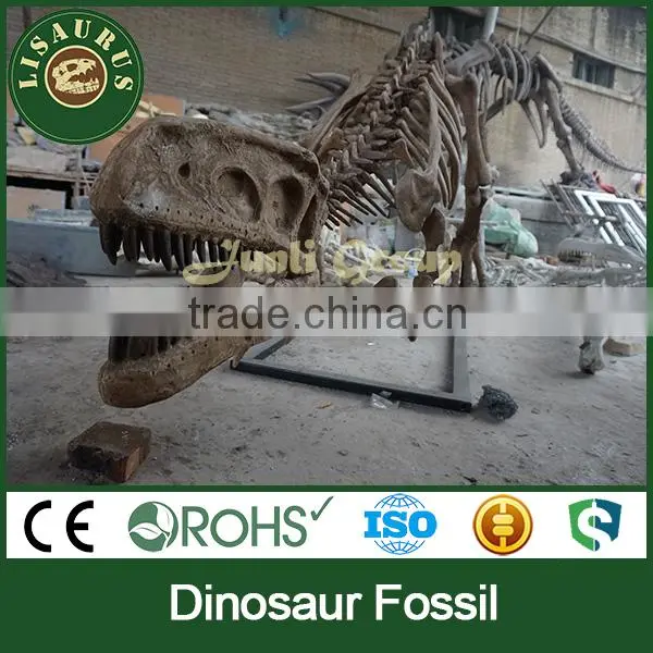 Lisaurus-G museum quality dinosaur fossil replica from Lisaurus
