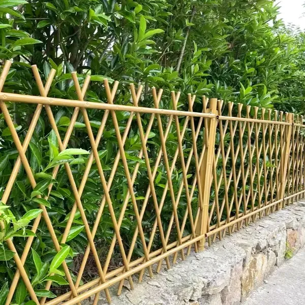 image (71).png