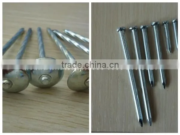 common wire nails supplier from China special for yemen market