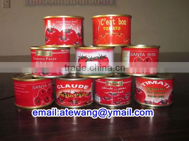Favorable price 400gm tomato paste,goods in great demand.