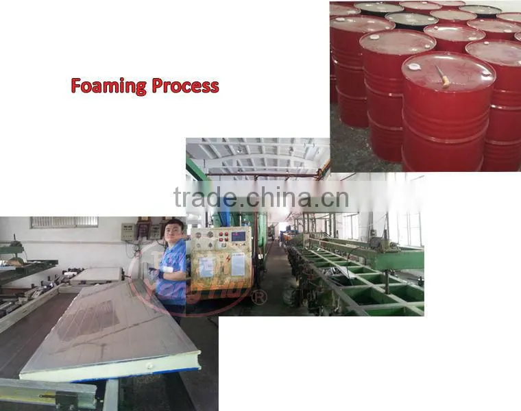 Cold storage door double leaf