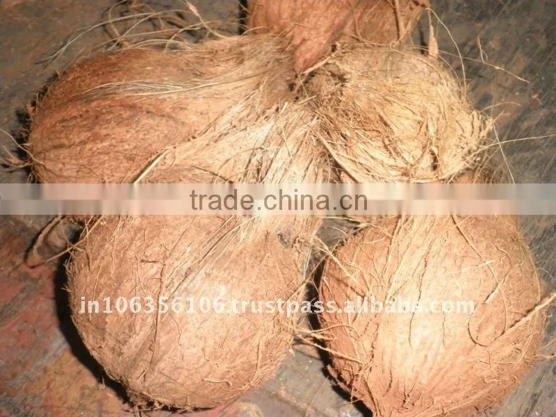 Fresh Matured Coconut