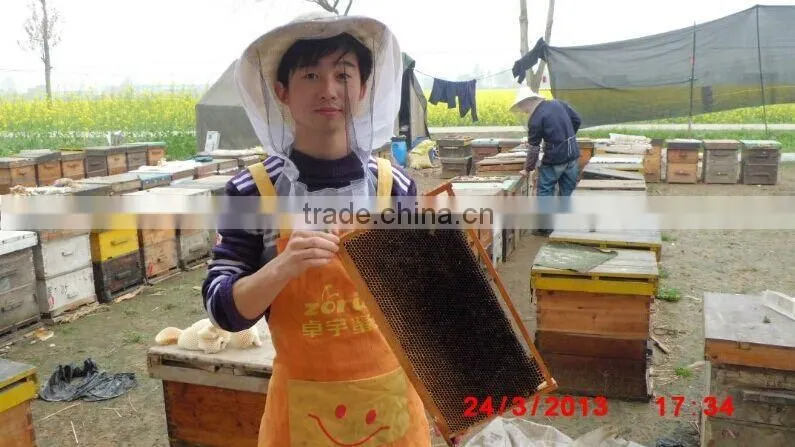 Multi-flower wholesale yellow honey beeswax,beeswax machine use,bees wax