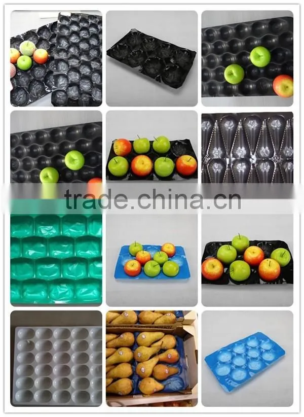 Food grade disposable plastic serving pp fruit tray