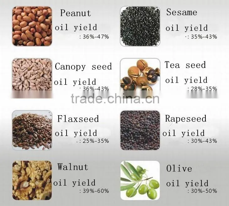Economic material benefit The new oil press Micro automatic hot and cold oil press small oil press oil family oil press