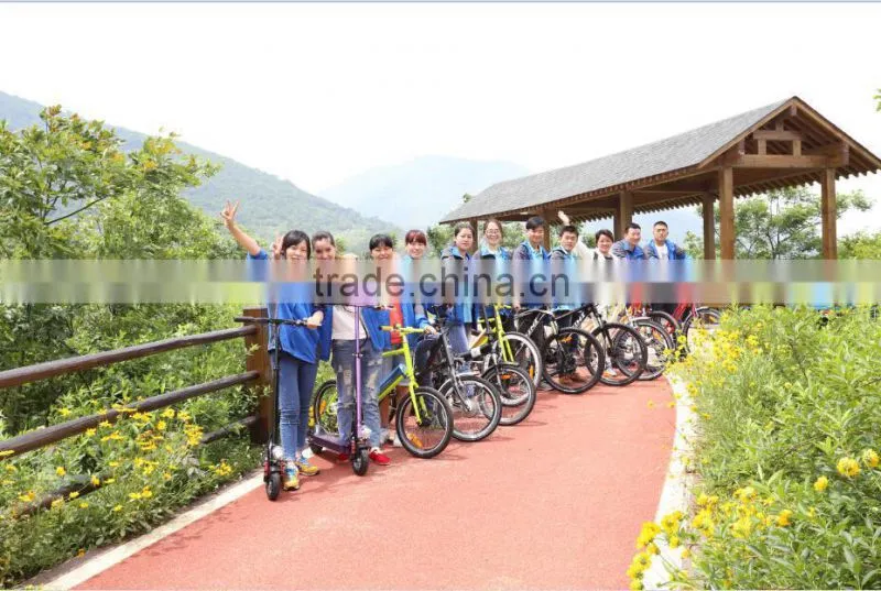 high power lithium battery Electric Bike 2015