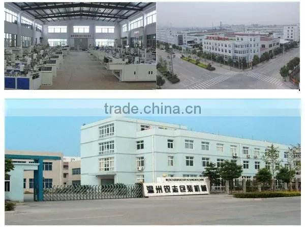 WZDJ-B 600 full automatic multifunction non woven fabric bag making machine