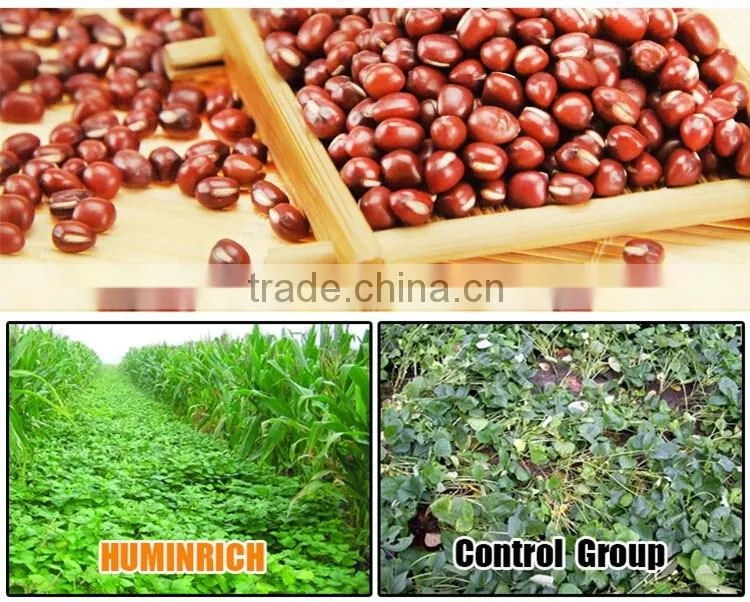 FAQ 30--Huminrich Potassium Fulvic Acid Fertilizer For Red Bean