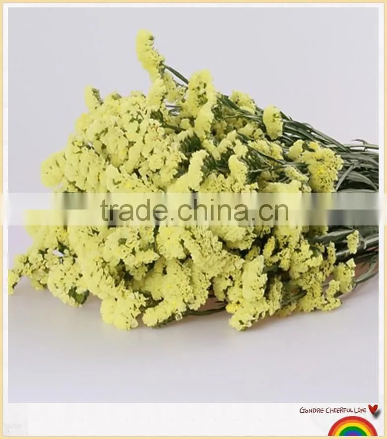 forget me not flower to make flower bouquets