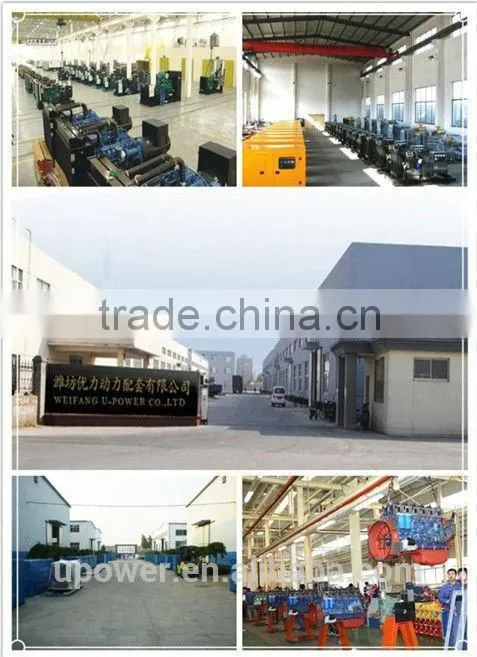 Deutz/Ricardo Diesel Generator Set