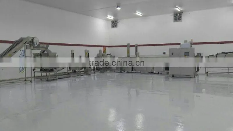 Potato chips machine/Chips machine/Potato chips making machine