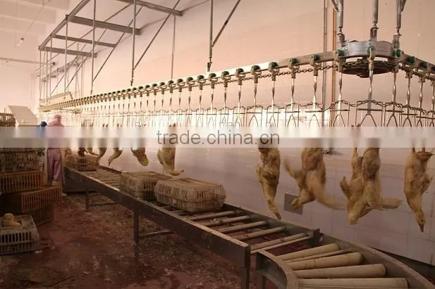500 chicken slaughter line slaughterhouse/poultry abattoir