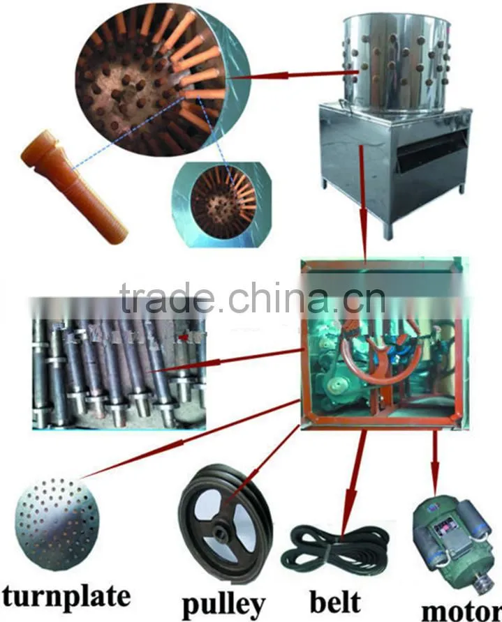 High quality high efficient ZH-40 quail plucker for sale