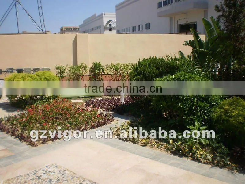 Cleaning equipment & accessories for swimming pool