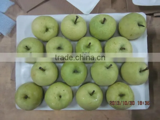 Chinese Gold pear,round pear