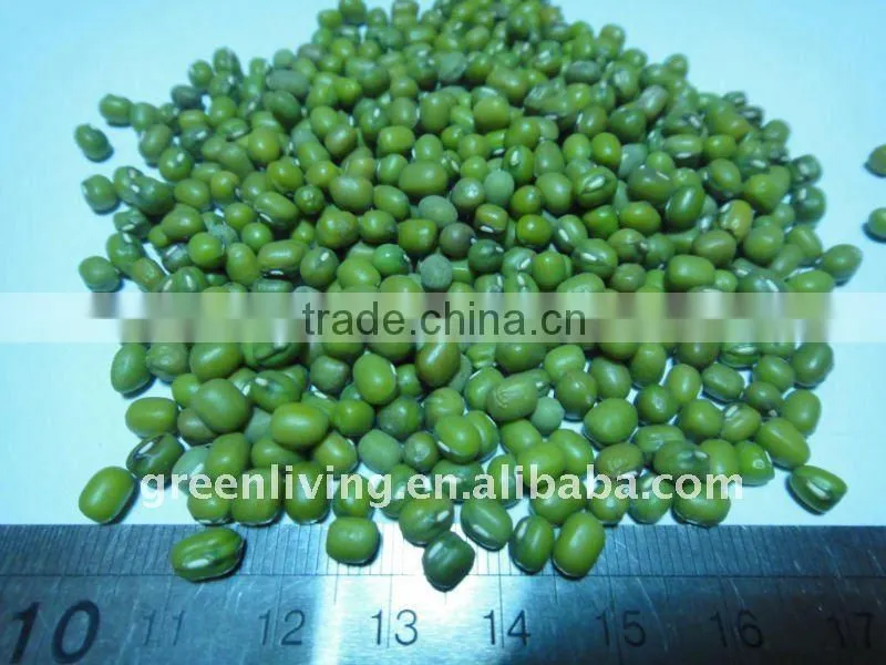 2011 chinese green mung bean(cheapest price)