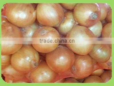 bulk new crop of onion harvest!