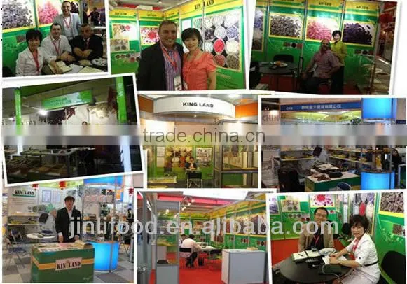 Brand-new dried apricot high quality best price