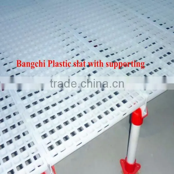 Plastic chicken Slat for chicken house