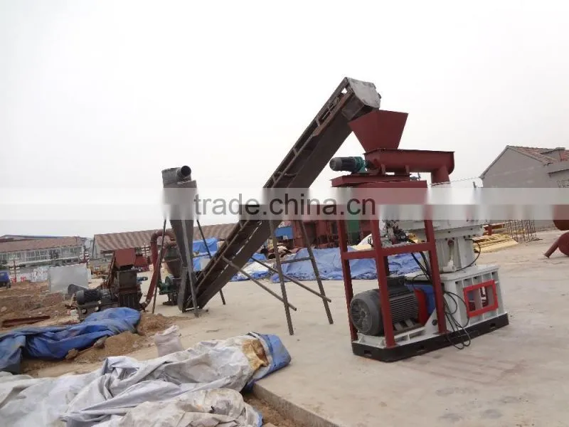 Sunflower husk&wood pellet mill with high capacity