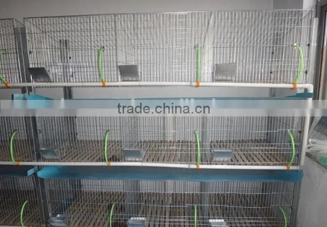 alibaba rabbit breeding cages,rabbit breeding cages factory