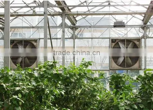 worldwise best quality exhaust fan for poultry house and greenhouse made in China