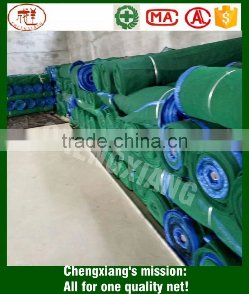 100% Virgin HDPE Scaffolding Net/ Debris Netting/ Safety Net