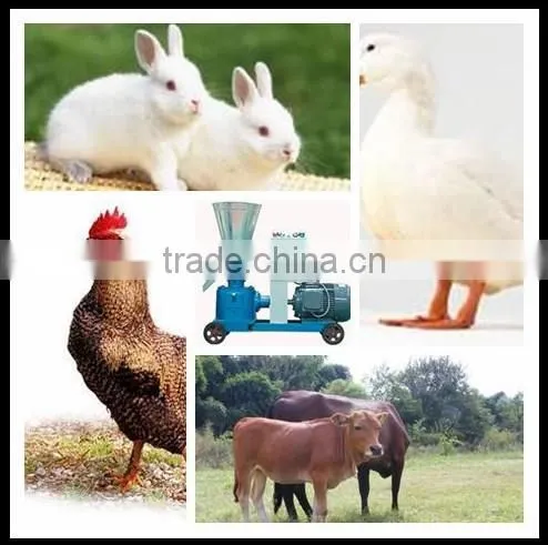 Turn waste to wealth organic fertilizer pellet mill