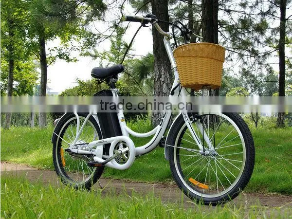 250W Cheap Steel Frame Electric Bike with EN15194 and EN14764 (EL09)