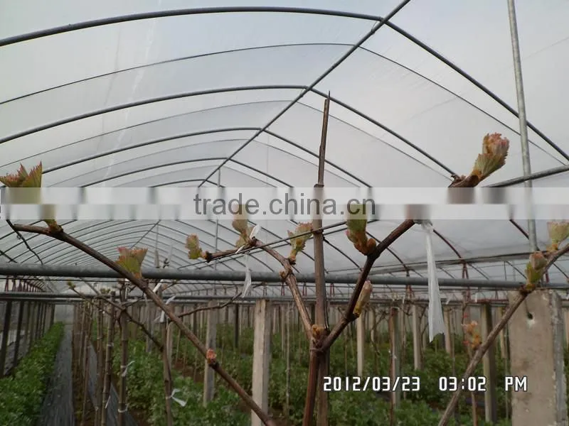 plastic film greenhouse HIGH QUANLITY PE weaving fabric GREENHOUSE FILM