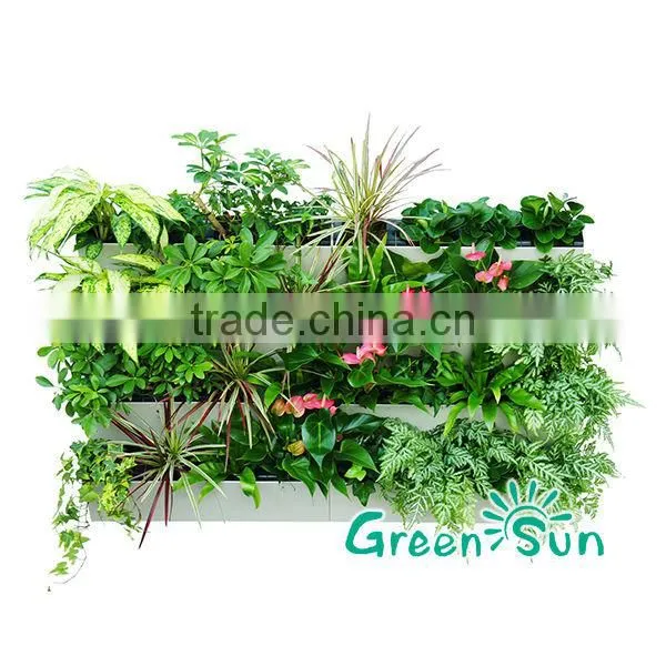 2016 new design GreenSun Hydro Plastic Vertical garden wall planter/Hydroponic green wall planter,hanging planter