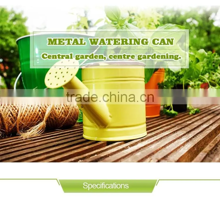 Cheap Printed Zinc Metal Watering Can