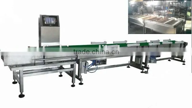 Food grade conveyor automatic weight grading machine