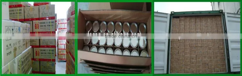 110G*72TINS baking powder