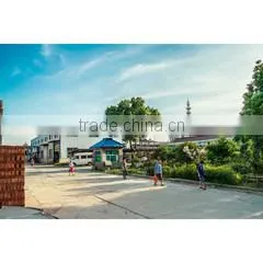Changzhou Plastics Researching And Manufacturing Co., Ltd. company overview - view 2