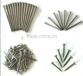polished common iron nails