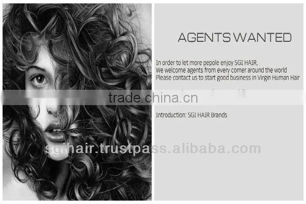 100% indian remy hair clip in extensions