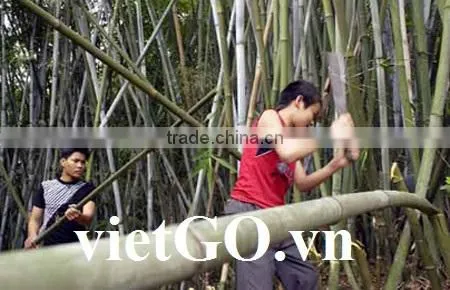 Cheap Price Bamboo Pole