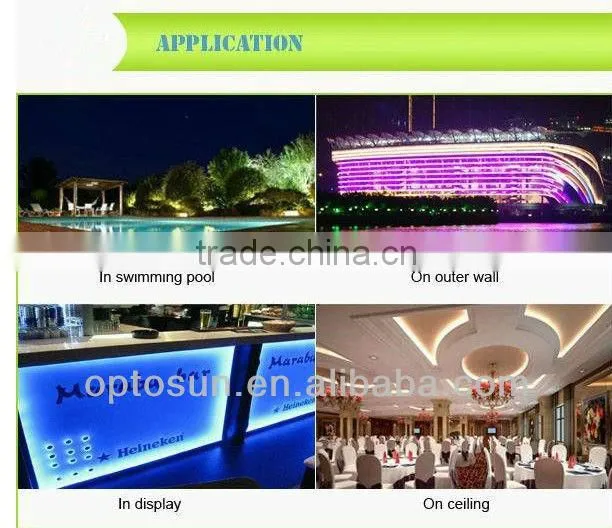 LED With CE RoHS certification house decoration wateproof DC12V 24V AC220V LED rope light