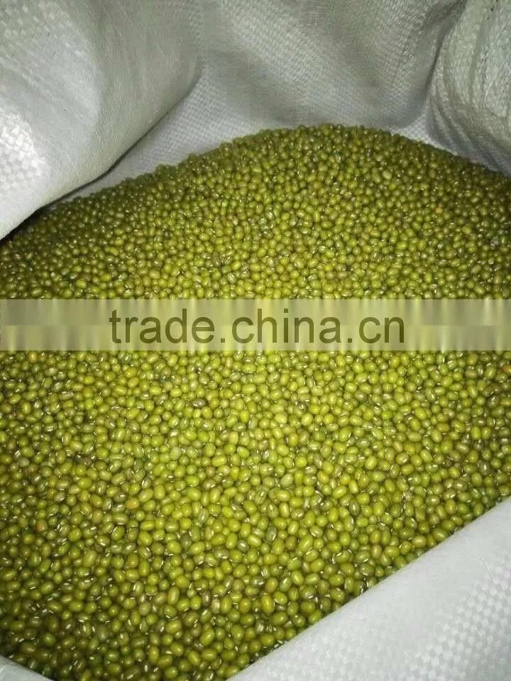 High quality organic Green mung beans for sale