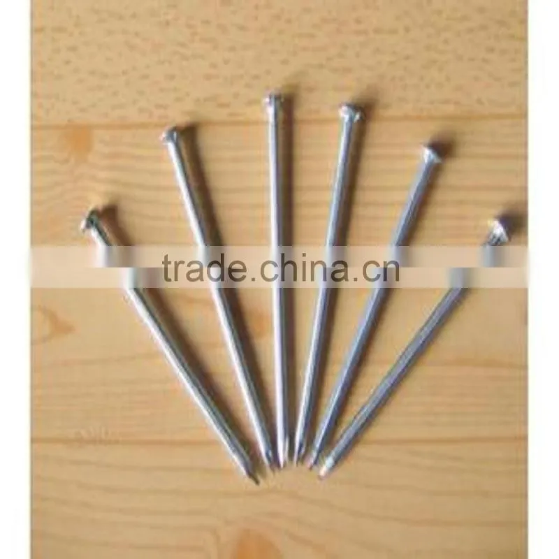 REAL FACTORY Common Iron Nails with Best Quality