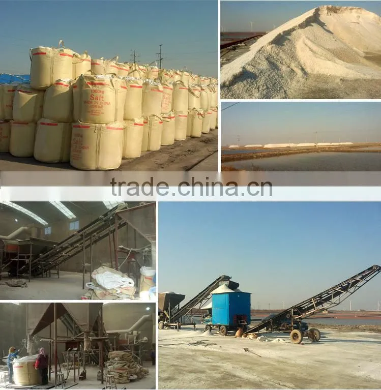 sodium chloride msds , bulk sodium chloride , sodium chloride