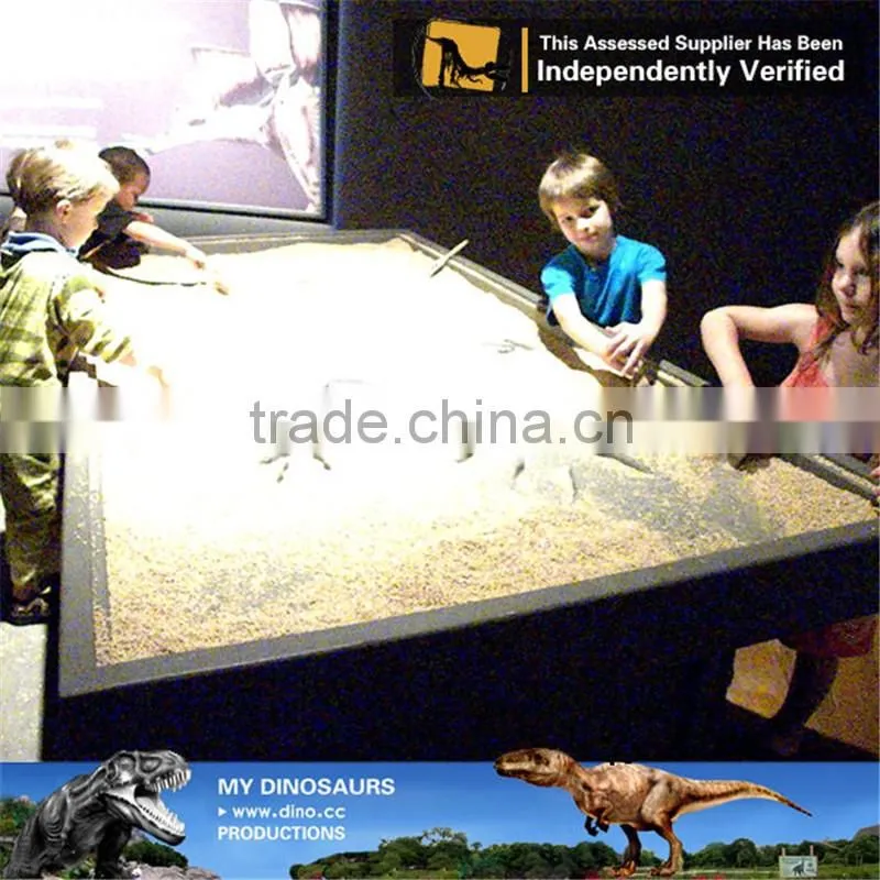 MY Dino-C097 Educational fiberglass dinosaur skeleton specimens