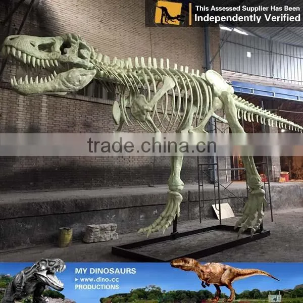 MY Dino-C074 Dinosaur park articulated skeleton models