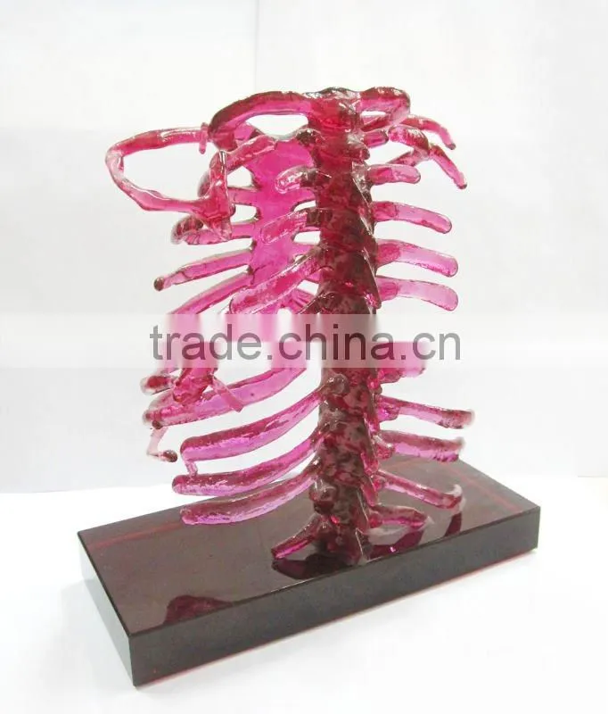 crystal skeleton statues--home decoration craft--BJ159