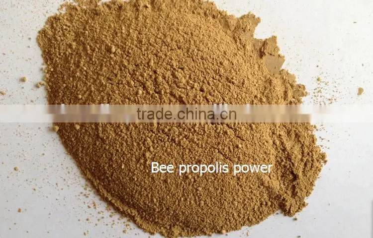 100% Pure Natural honey propolis capsule extract propolis powder for sale