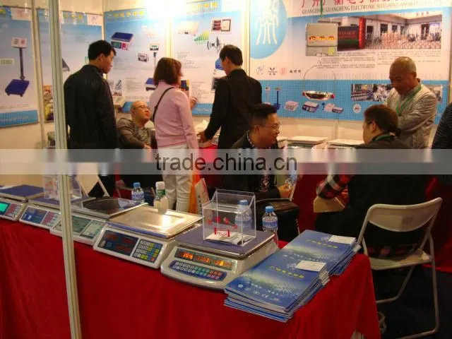 5Kg/1g Household Electronic Kitchen Scale /5kg electronic balance scale ce certification