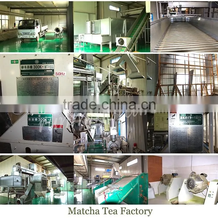 2016 Best Selling Products Detox Matcha Tea Hot Selling In Japanese